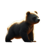 BabyBear_Razor.png.1e9cb4bce5bd88b692073d6db7f16af2.png