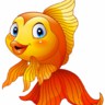 XDGoldenFish